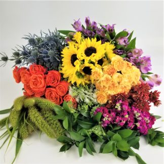 Fall Jewel Tones - Standard Mix Fall Jewel Tones - Standard Mix