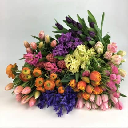 Spring Bulb Flowers Mix  