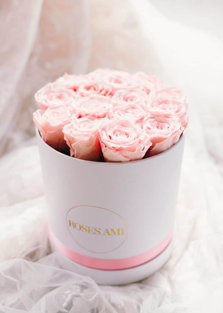 roses volumes - roses Ami