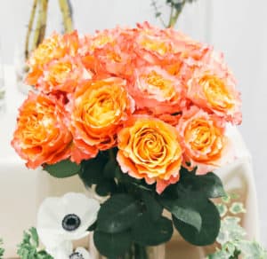 Orange garden roses