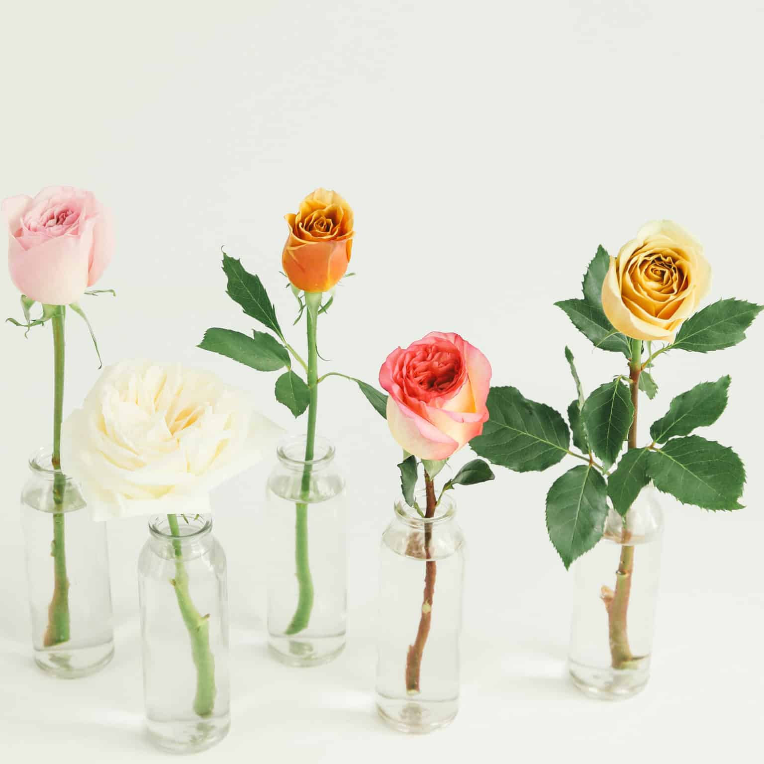 DIY Bulk Flower Delivery & Shipping Cascade Floral Wholesale