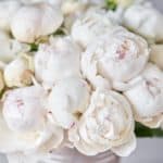 White Peonies