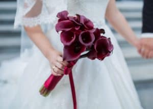 Bridal bouquet of burgundy calla lilies