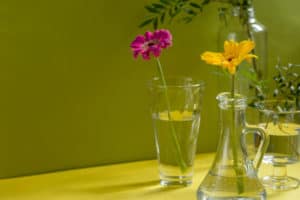 Beautiful shadows from glass vases in sunlight. Gerberas in glass bottles on a green background. A floral minimalistic concept in a modern interior with harsh light and shadow. Copy space.
