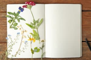 Beautiful dried flowers in notebook on wooden background