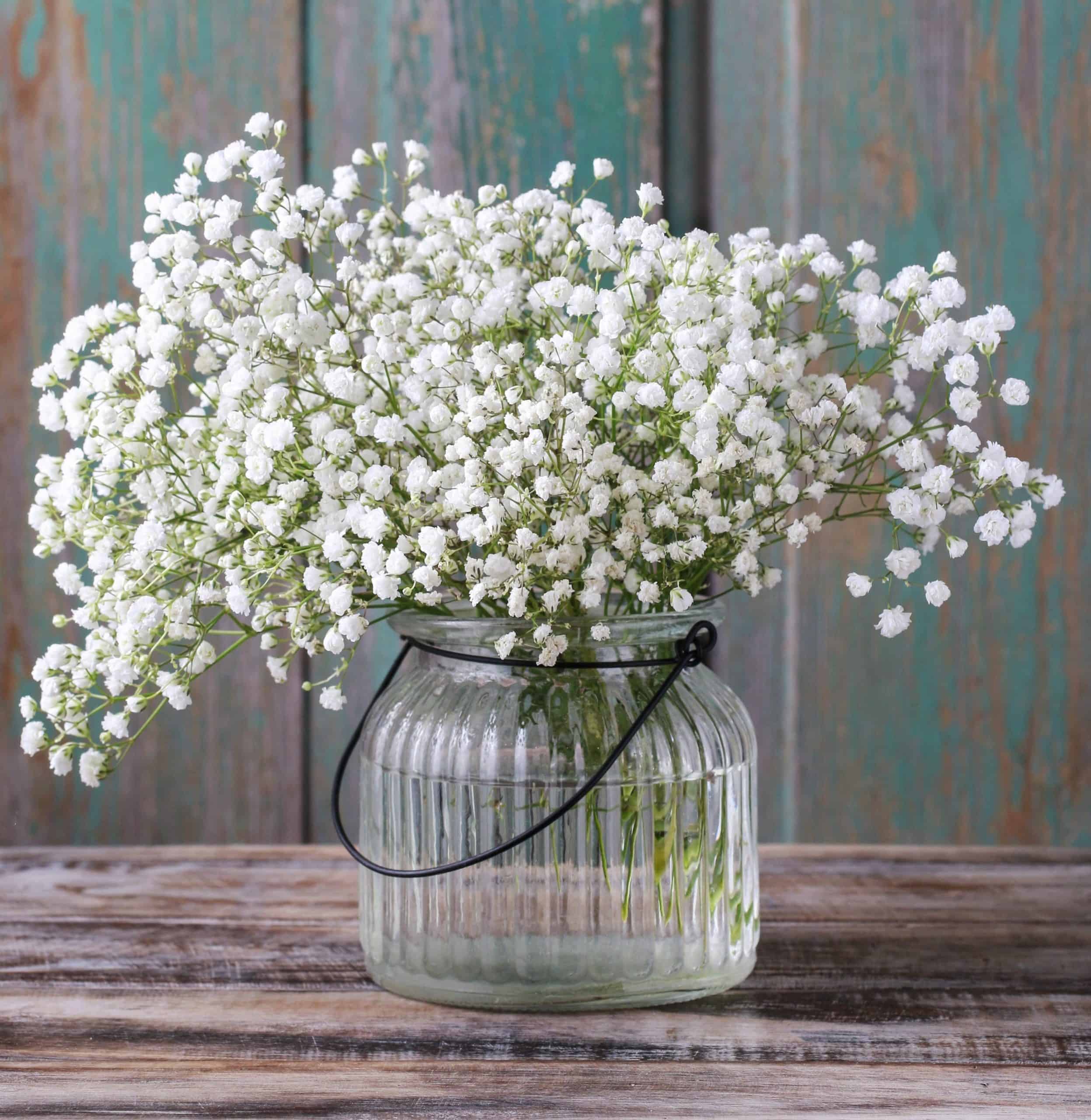 baby breath bouquet in Highland, CA