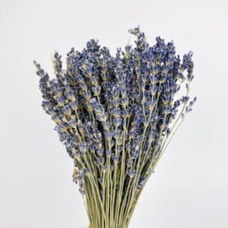 Dried Lavender  