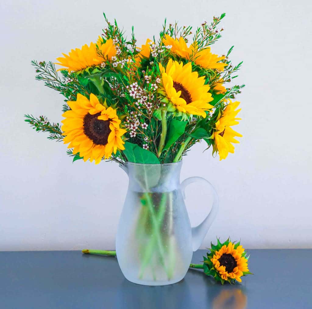 Sunflowers Wholesale Bulk Flowers