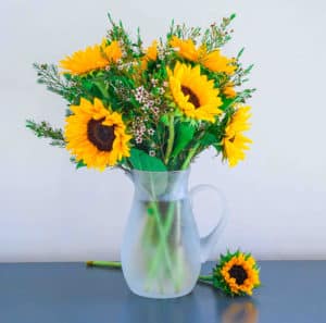 Sunflowers in a vase on a rustic, blue background