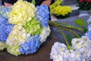 Floral business concept. Florist woman makes bouquet of blue, yellow and green hydrangea flowers in shop for sale, flowers closeup. Working in floristic studio store. Creating professional bouquet.