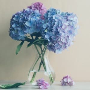 How to Prep and Care for Your Special Event Flowers - Cascade Floral  Wholesale