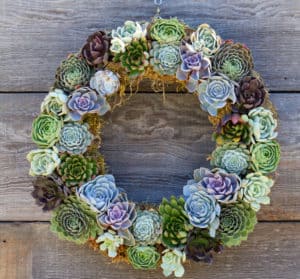 Colorful cactus wreath hanging on rustic wooden wall.