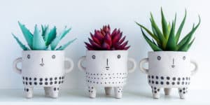 Three cute face ceramic plant pots with red and green succulent plants on white wooden shelf isolated on white wall background with copy space. Small modern DIY cement planter trendy decoration.
