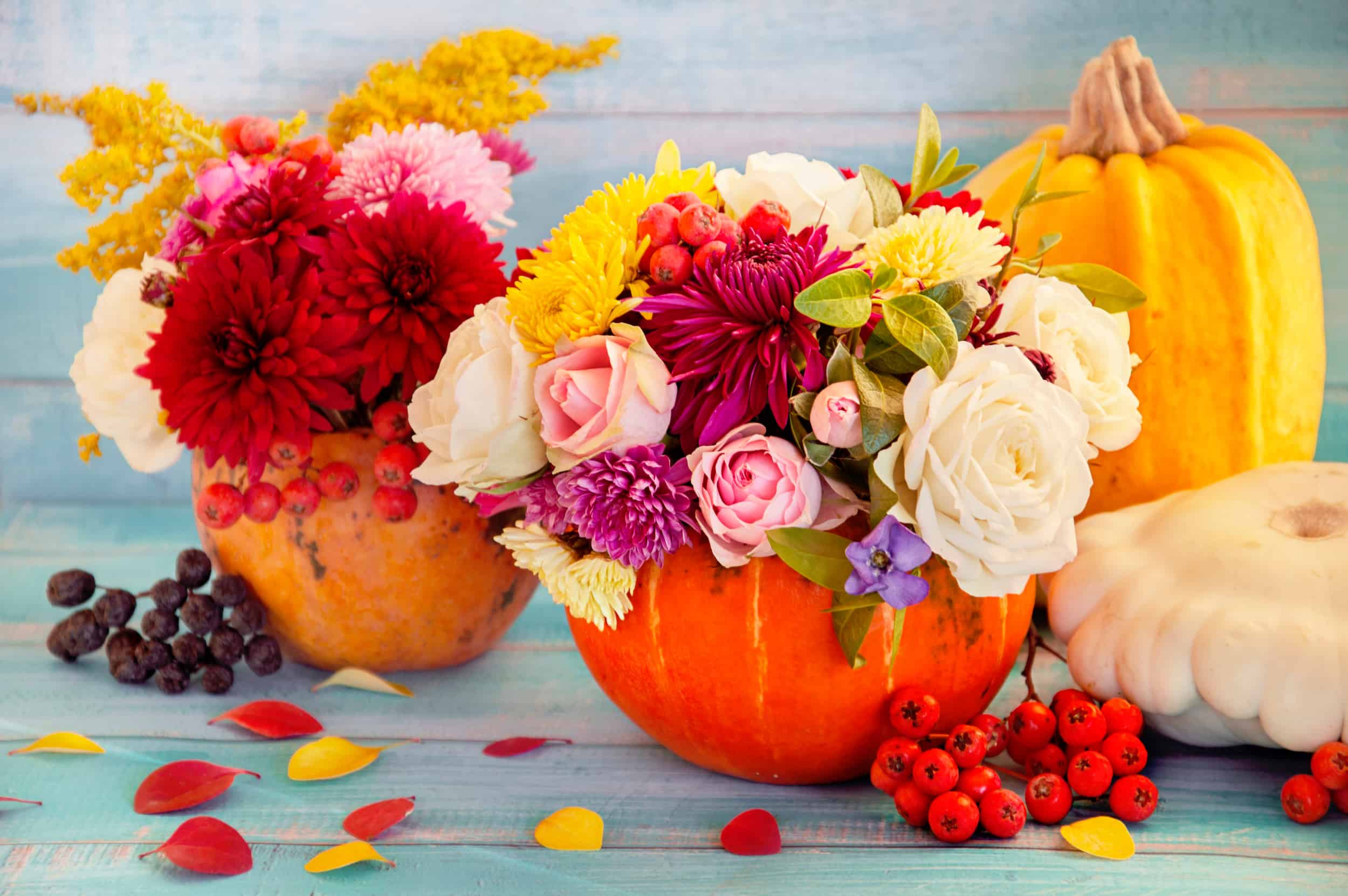 Flowers in a pumpkin. Bright autumn background. Colorful autumn card. Pumpkin with fresh flowers. Autumn flower arrangement. Autumn bouquet.