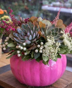 Decorated pink pumpkin with succulents, flowers and leaves at the greek garden shop in October. Vertical.