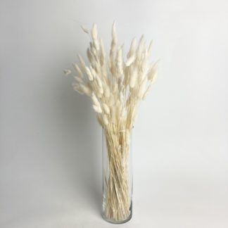 Dried Bunny Tails White Dried Bunny Tails White