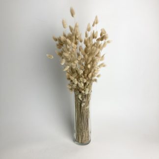 Dried Bunny Tails Natural  