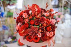 Bright and gorgeous bouquet of lovely red flowers in woman hands. No face, close up photo