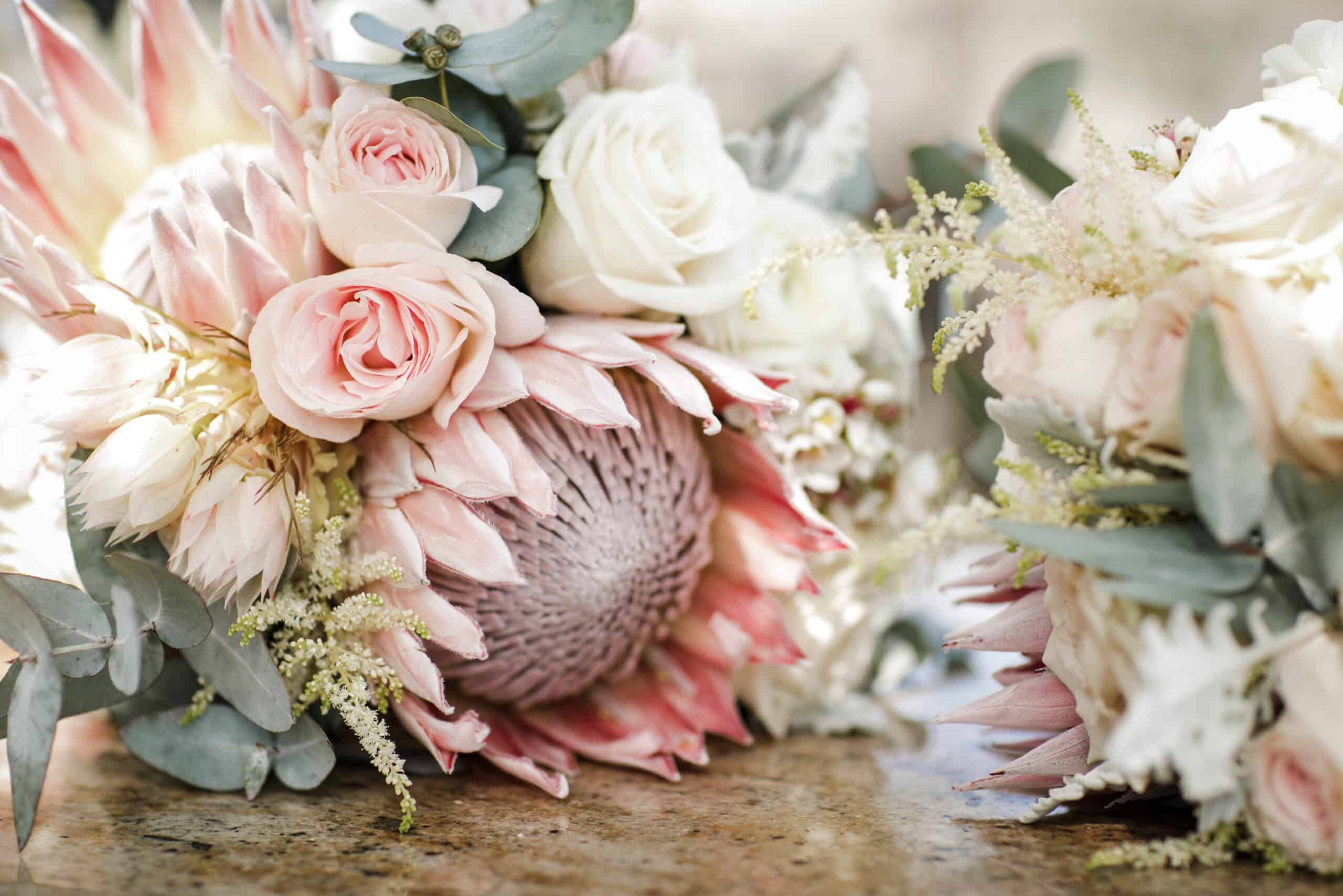 Pale pink protea wedding flowers