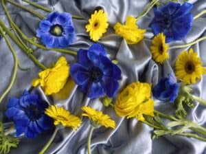 Purple anemones and yellow daisies on gray fabric