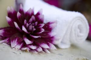 Grand purple dahlia with rolled towel