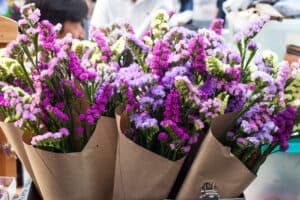 Bunches of sea lavender