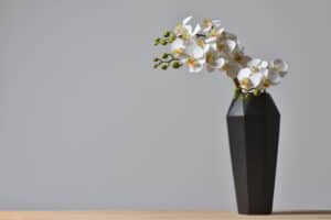 Minimalist bouquet of orchids in vase