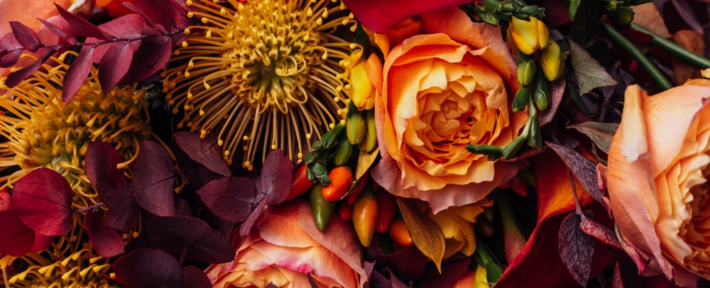 Protea and fall flowers