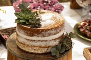 Naked wedding cake with succulents