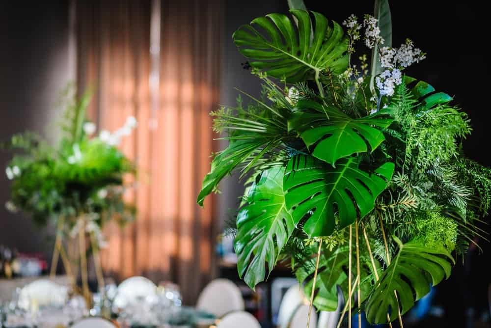 Monstera centerpieces on tables