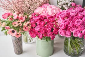 Containers of pink flowers on table