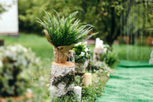 Aisle at wedding decorated with plants, candles, and birch logs