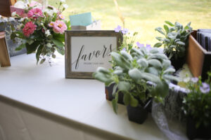 Flower and plant party favors