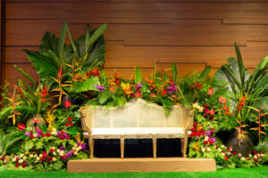 Bench surrounded by tropical blooms