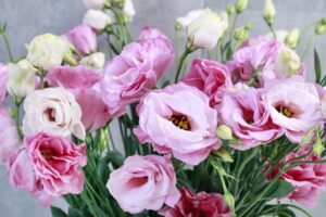 Bunch of pink Lisianthus