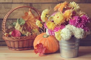 Chrysanthemums in bucket near pumpkin
