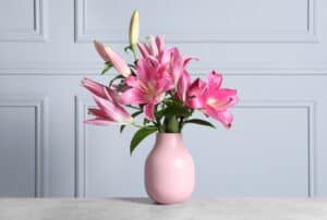 Pink lilies in pink vase in front of gray wall