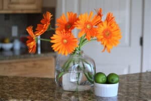 Orange gerbera daisies on kitchen counter with limes