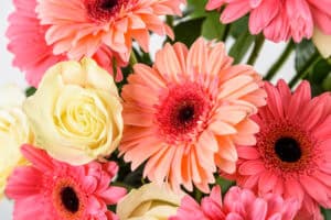 White roses with peach and pink gerbera daisies