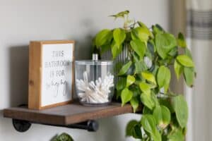Pothos plant next to tips and sign