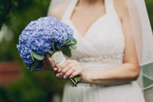 Bride holding blue hydrangea bouquet