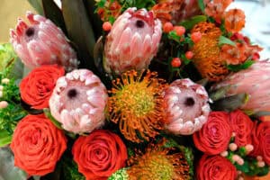 Colorful pincushion and king protea with roses