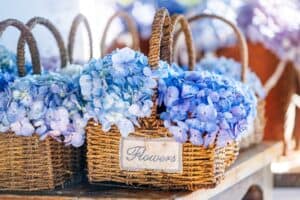 Purple hydrangeas in baskets