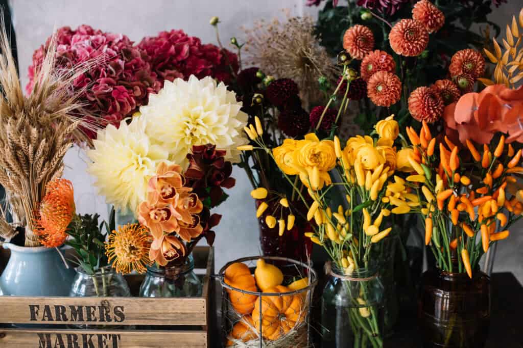 Beautiful fall flowers