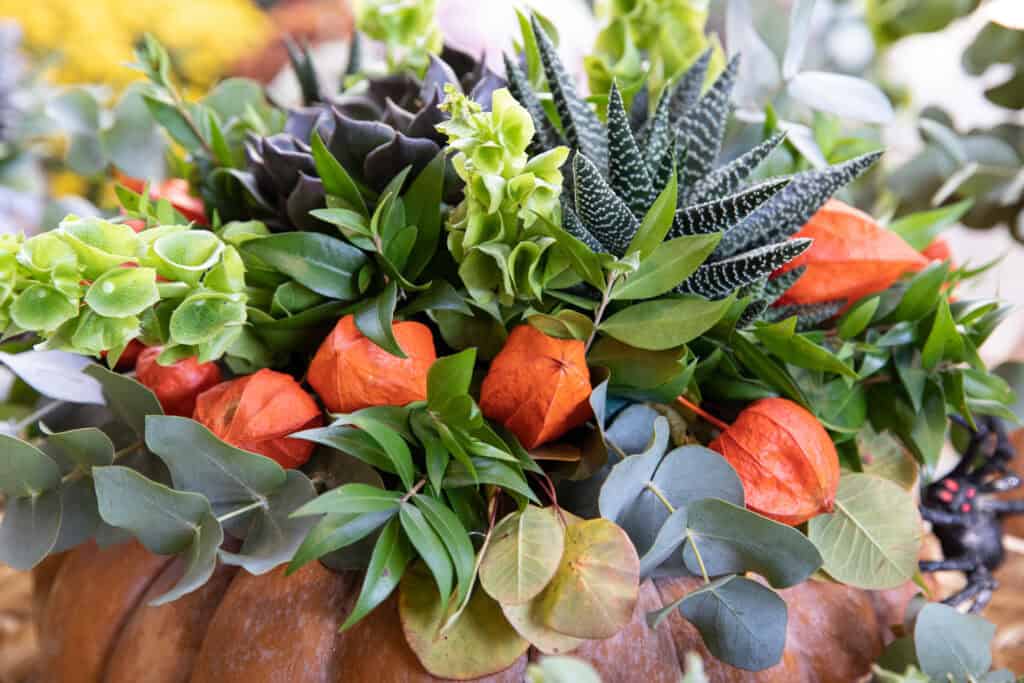 Eucalyptus and other fall greenery