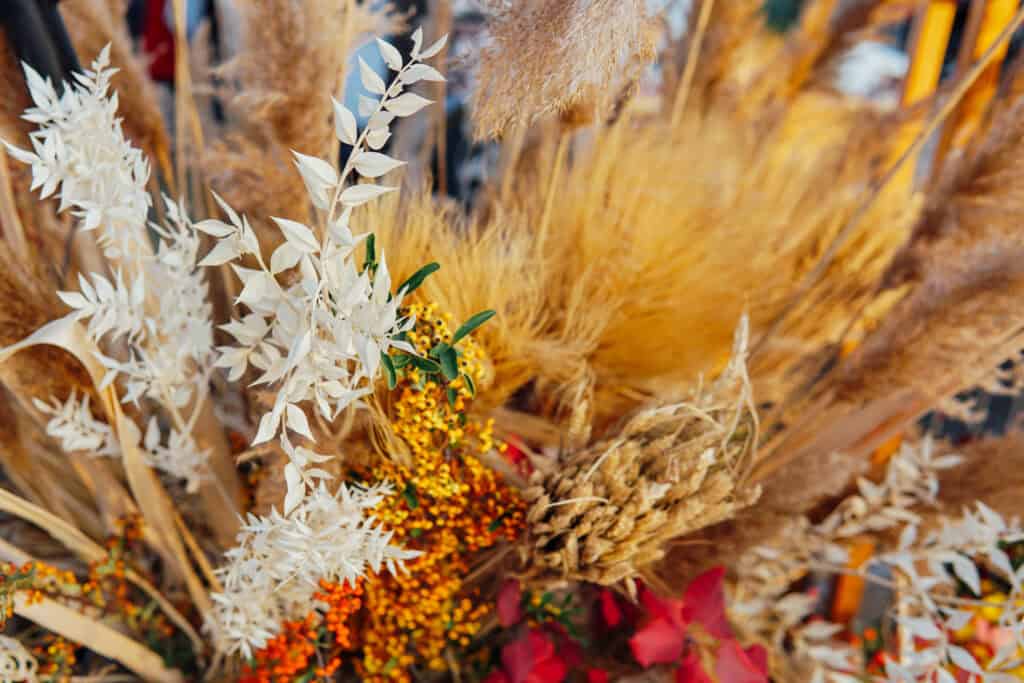 Dried pampas grass and other fall accent stems