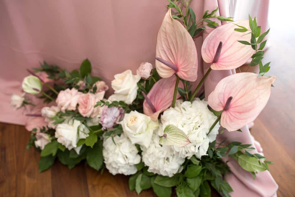 Pink anthuriums with white blossoms on curtain