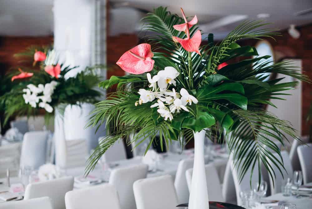 Anthuriums, orchids, and greenery in tall vases